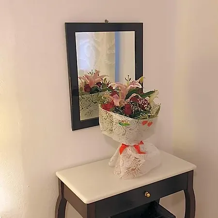 Sunflower Камари